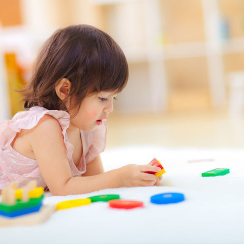 Plan Toys - Geometric Sorting Board