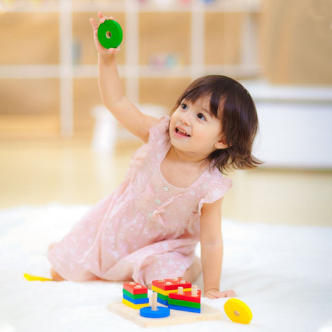 Plan Toys - Geometric Sorting Board