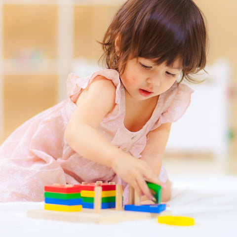 Plan Toys - Geometric Sorting Board