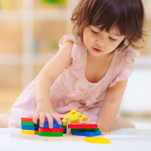 Plan Toys - Geometric Sorting Board
