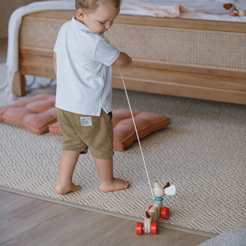 Plan Toys - Cagnolino trainabile
