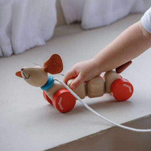 Plan Toys - Cagnolino trainabile