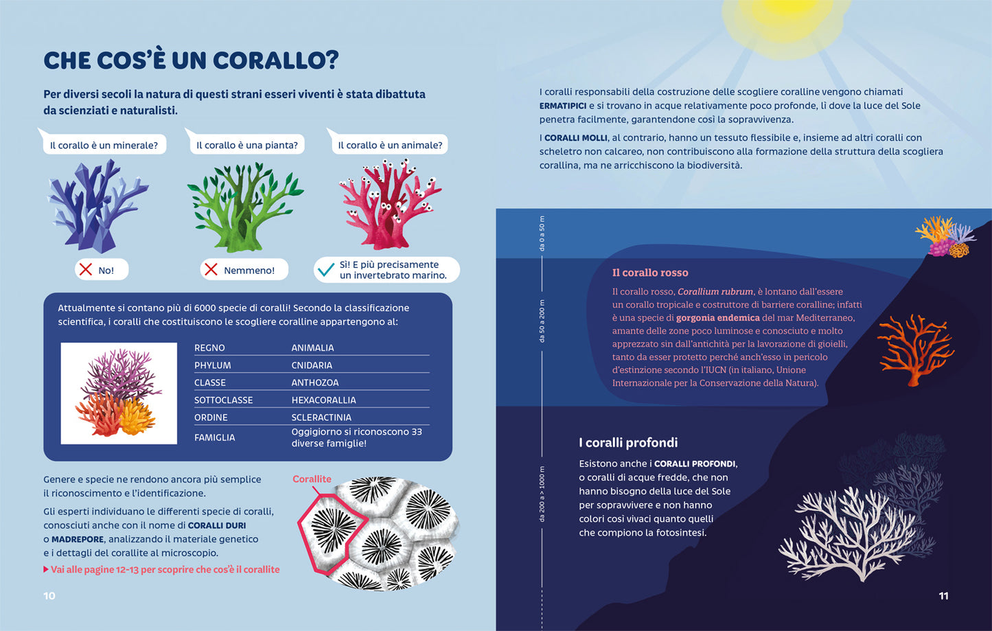 Foreste Coralline
