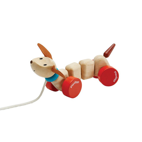 Plan Toys - Cagnolino trainabile