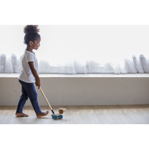 Plan Toys - Push & Pull Cucciolo