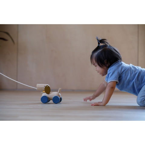Plan Toys - Push & Pull Cucciolo