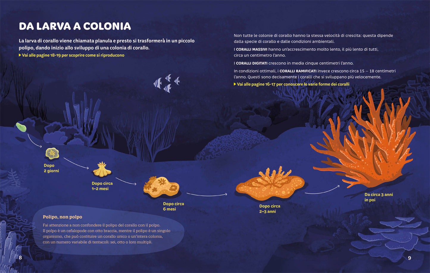 Foreste Coralline