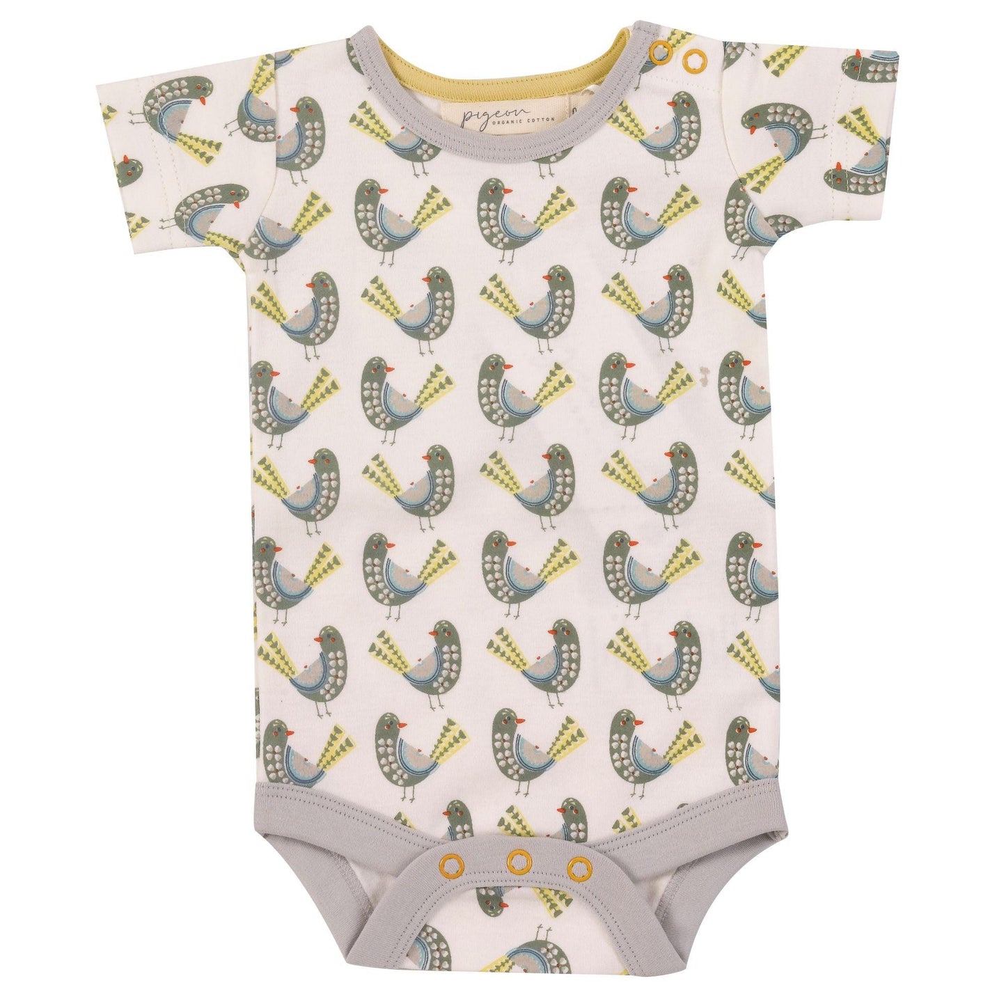 Pigeon Organic- Body Birds - Nani&S di Enza Tramontana